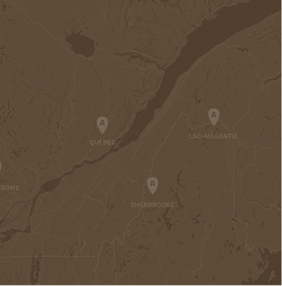Aviva-home-page_second-map_mobile.jpg